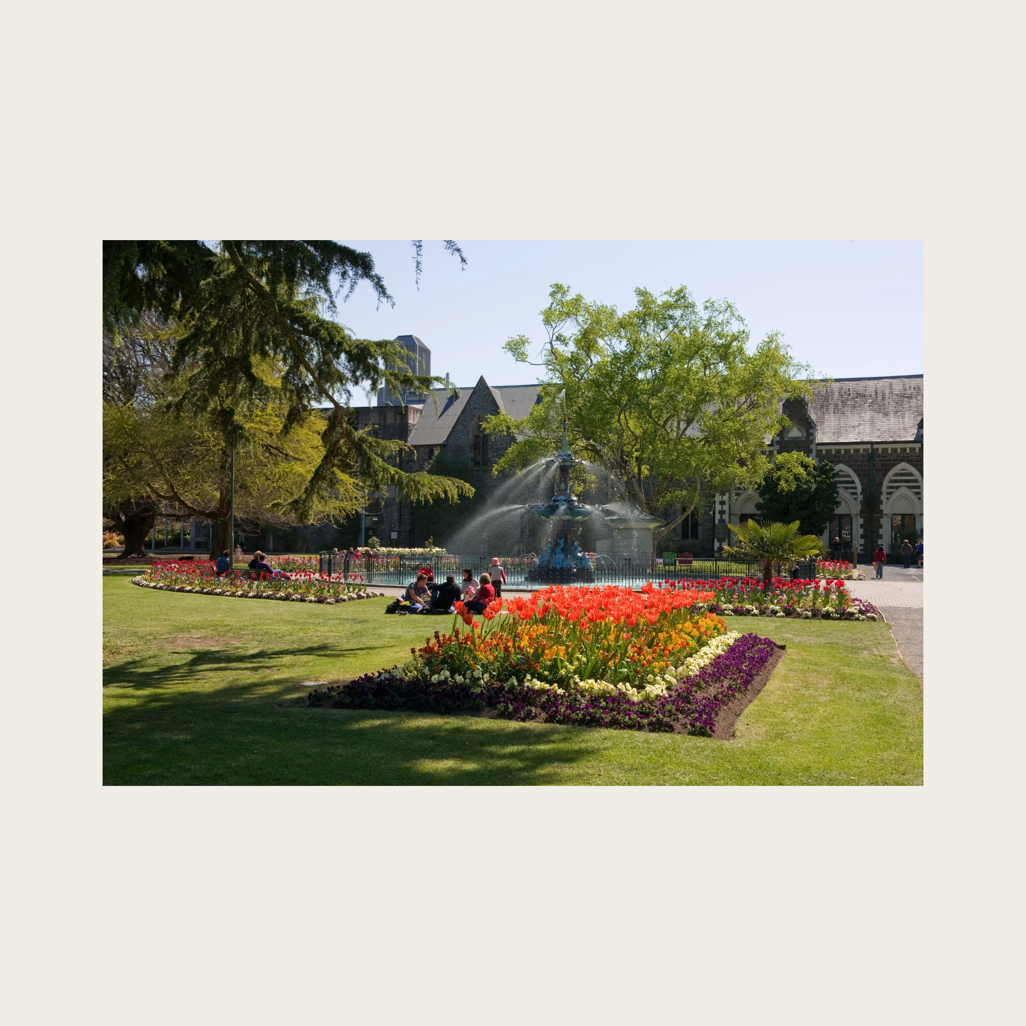 Walk + Coffee: Botanic Gardens