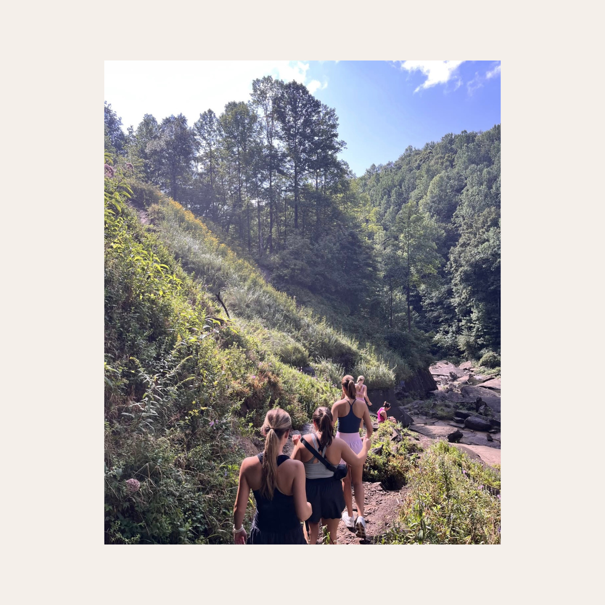 Hike: Kuataika Track Waitakere Ranges