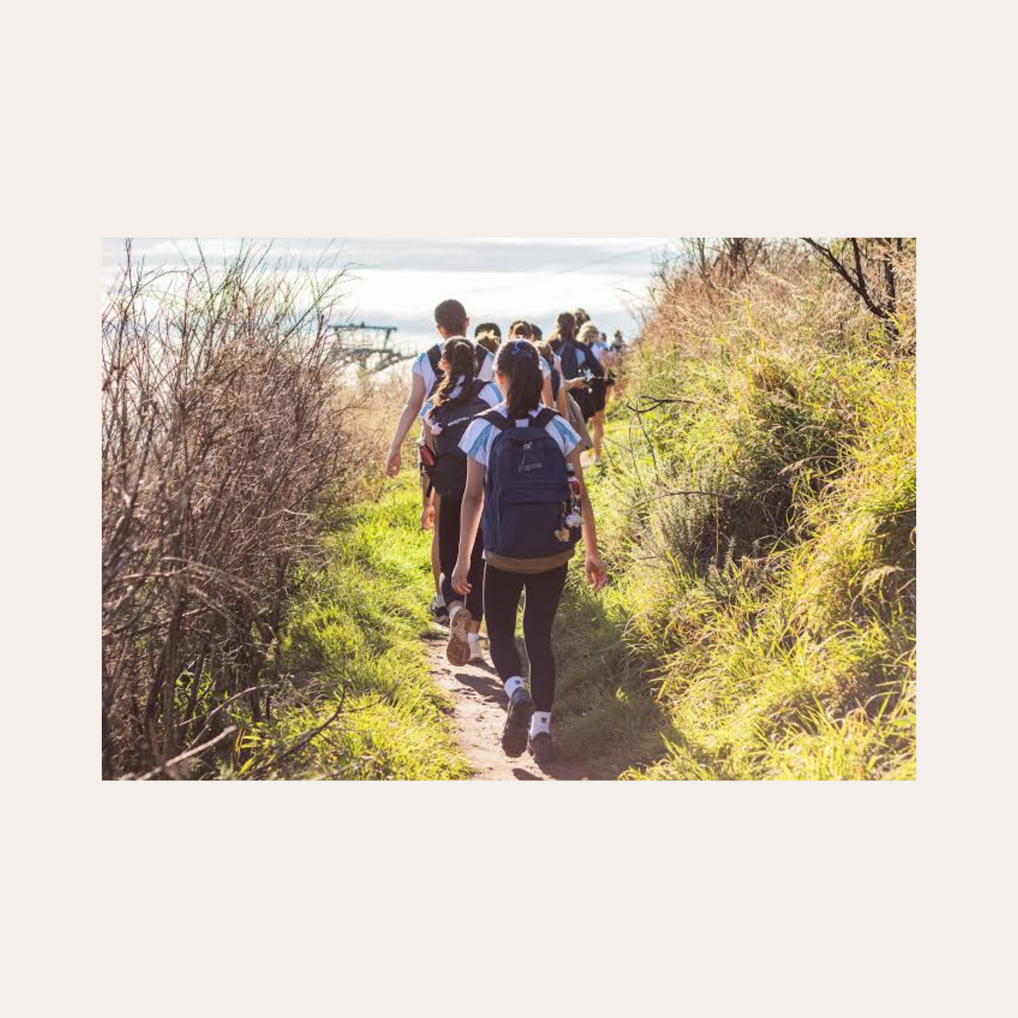Hike: Adventure Park